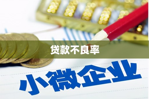 揭阳贷款不良率