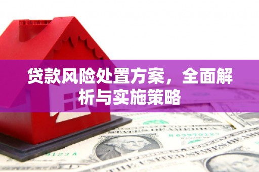 揭阳贷款风险处置方案，全面解析与实施策略